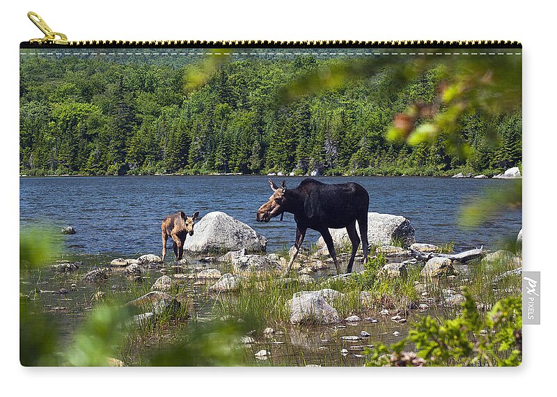Moose Zip Pouch featuring the photograph Window to the Moose by Glenn Gordon