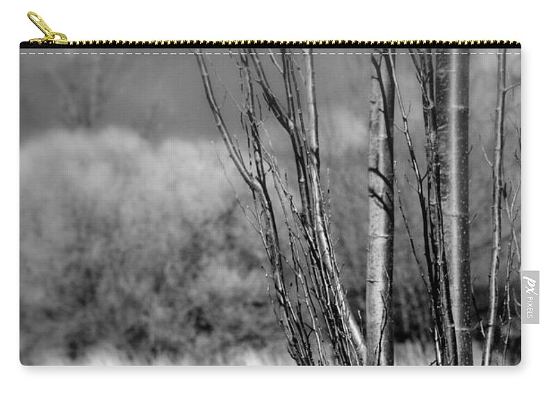 Landscape Zip Pouch featuring the photograph Winters Branch by Kathleen Grace