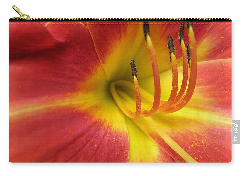 Day Lily Zip Pouch featuring the photograph With Great Detail by Kim Galluzzo