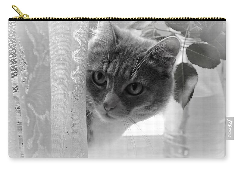 Cat Zip Pouch featuring the photograph Wondering. Kitty Time by Jenny Rainbow