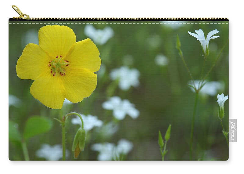 Wood Sorrel Carry-all Pouch featuring the photograph Wood Sorrel And Sandwort by Daniel Reed