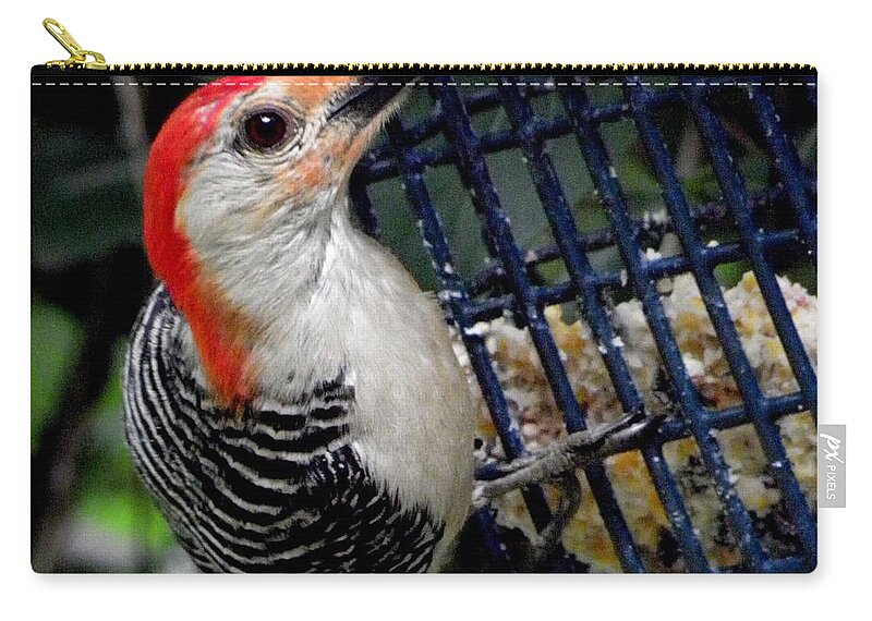 Red Carry-all Pouch featuring the photograph Woody Woodpecker by Kim Galluzzo Wozniak
