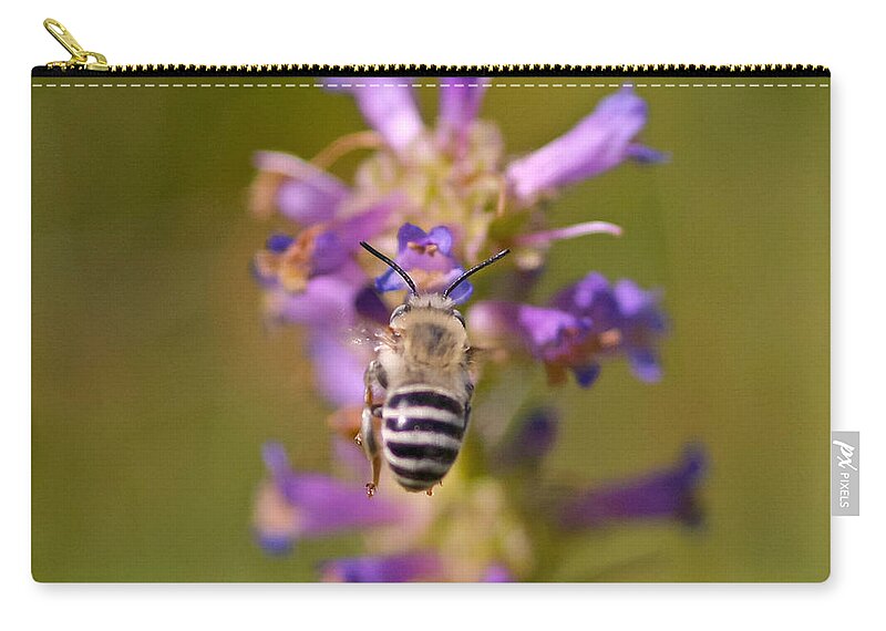 Bee Zip Pouch featuring the photograph Worker Bee by Mitch Shindelbower