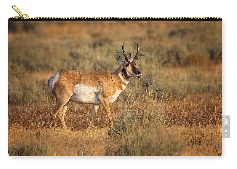 2012 Carry-all Pouch featuring the photograph Wyoming Pronghorn by Ronald Lutz