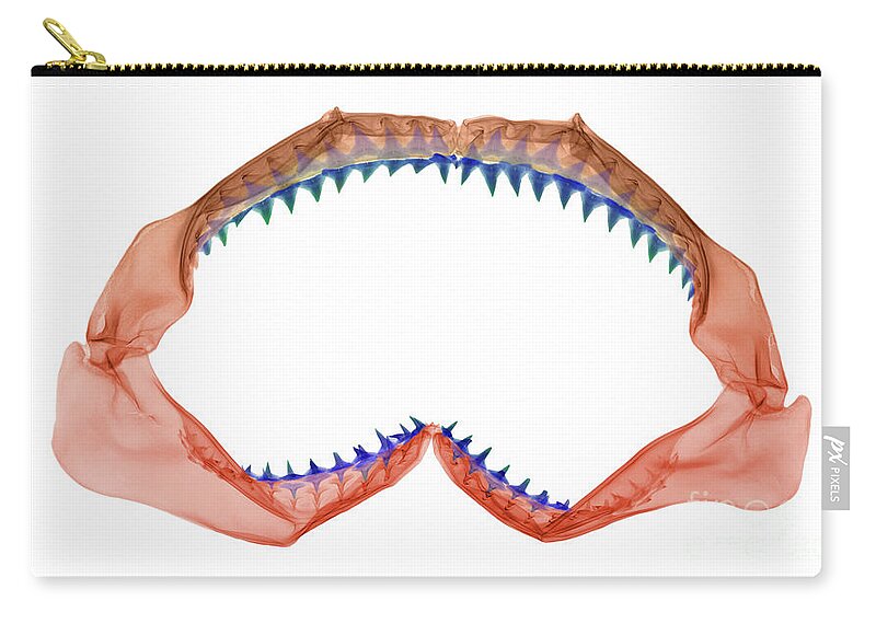 Animal Zip Pouch featuring the photograph X-ray Of Shark Jaws by Ted Kinsman