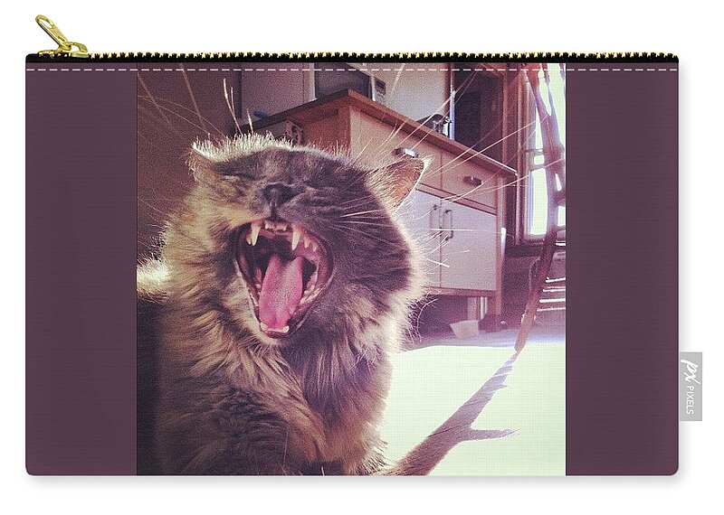 Kittiesofinstagram Zip Pouch featuring the photograph ::yeeeeaaaargh:: by Katie Cupcakes