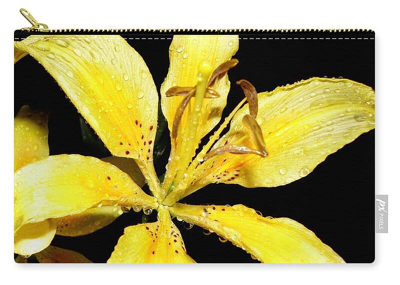 Yellow Zip Pouch featuring the photograph Yellow Lily by night by Kim Galluzzo
