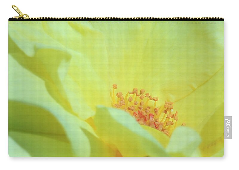 Floral Zip Pouch featuring the photograph Yellow Rose by Donna Corless