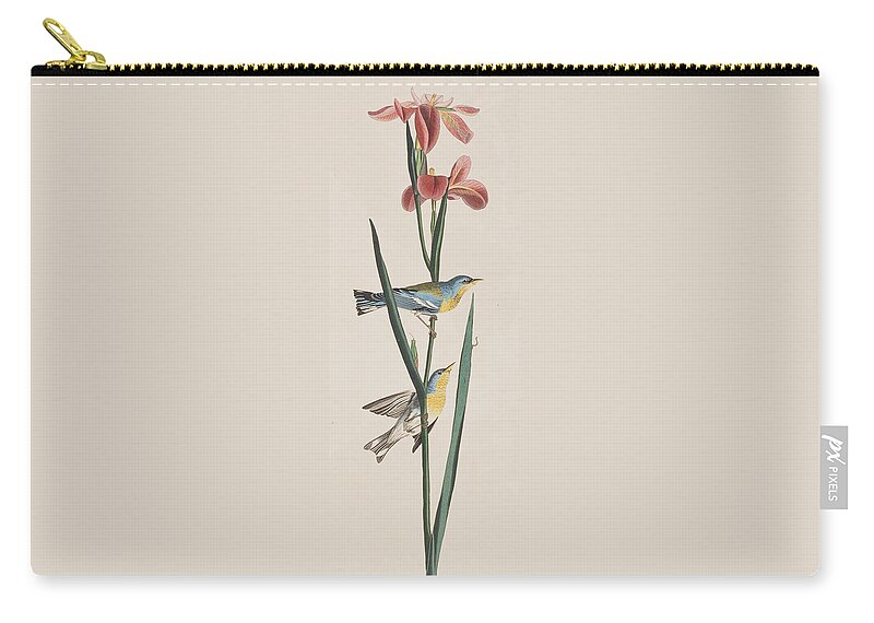 Warbler Zip Pouch featuring the painting Blue Yellow-backed Warbler by John James Audubon