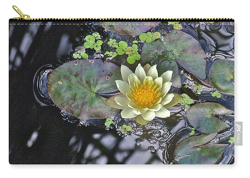 Waterlily: Water Garden; Garden Plant; Flowers; Gardens; Nature Zip Pouch featuring the photograph September White Water Lily by Janis Senungetuk