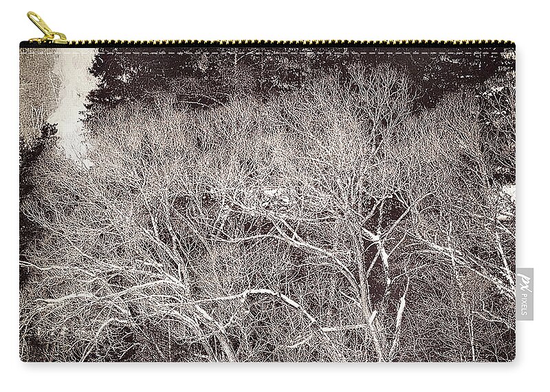  Zip Pouch featuring the photograph 0005 Pe 2 by Burney Lieberman