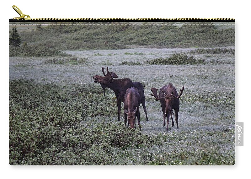Moose Zip Pouch featuring the photograph Moose Cameron Pass CO by Margarethe Binkley