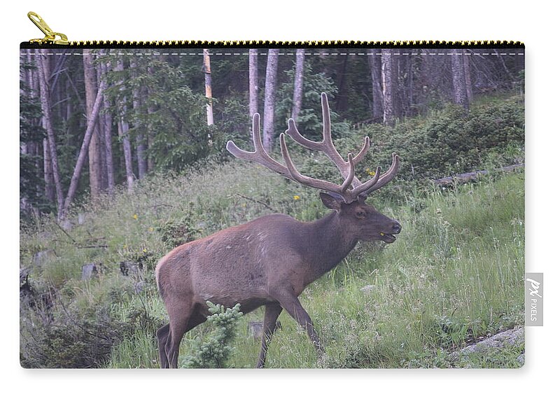 Male Elk Zip Pouch featuring the photograph Bull Elk RMNP CO by Margarethe Binkley
