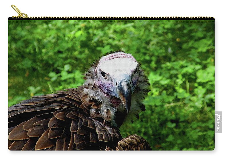 Happy Zip Pouch featuring the pyrography A Happy Vulture #1 by Kimmary MacLean