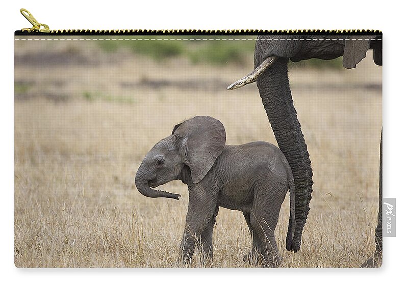 00784040 Zip Pouch featuring the photograph African Elephant Mother And Under 3 by Suzi Eszterhas