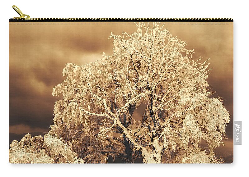 Ice Storm Zip Pouch featuring the photograph After The Ice Storm #1 by Mountain Dreams