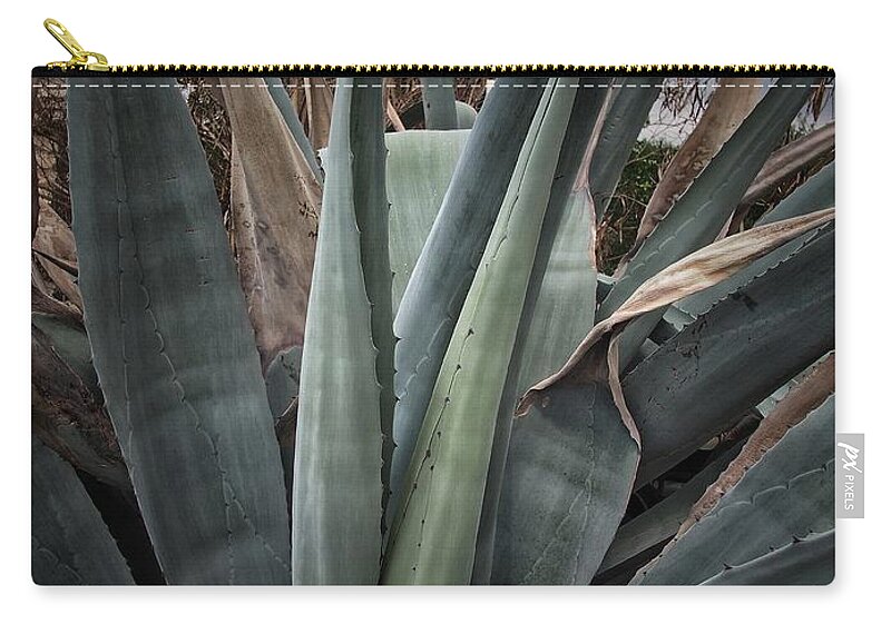 Agaves Zip Pouch featuring the photograph Agaves Plant #1 by Buck Buchanan