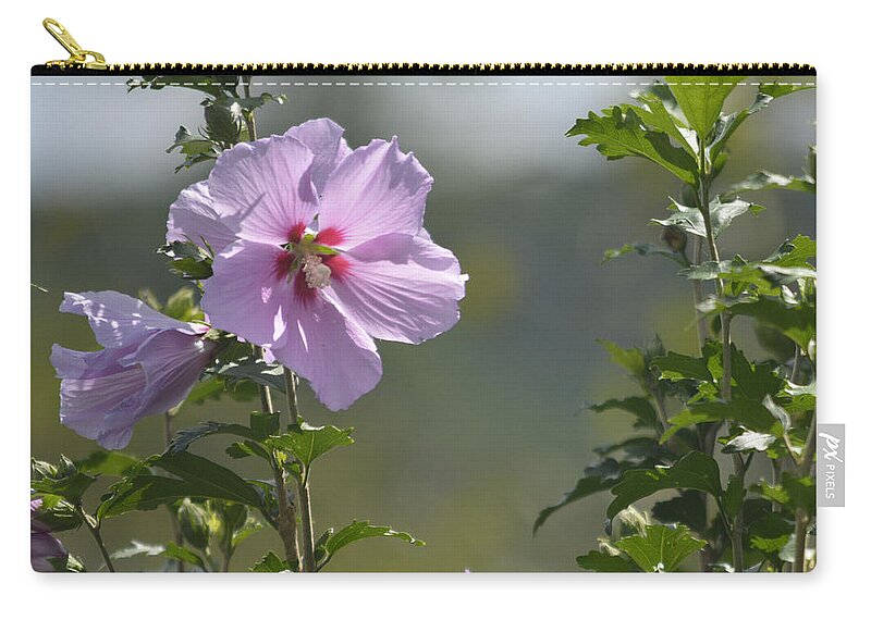 Rose Zip Pouch featuring the photograph Althea Rose of Sharon Hibiscus Bloom #1 by Barb Dalton