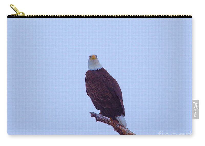  Eagle Zip Pouch featuring the photograph An eagle staring #1 by Jeff Swan