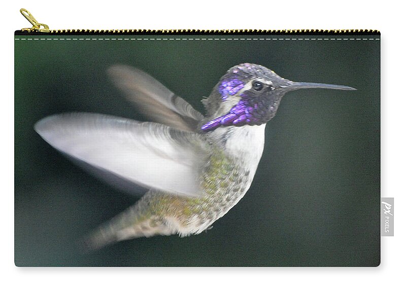 Animal Zip Pouch featuring the photograph Angel Wings #1 by Jay Milo