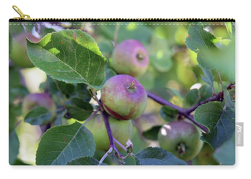 Apples Zip Pouch featuring the photograph Apples #2 by Linda L Brobeck