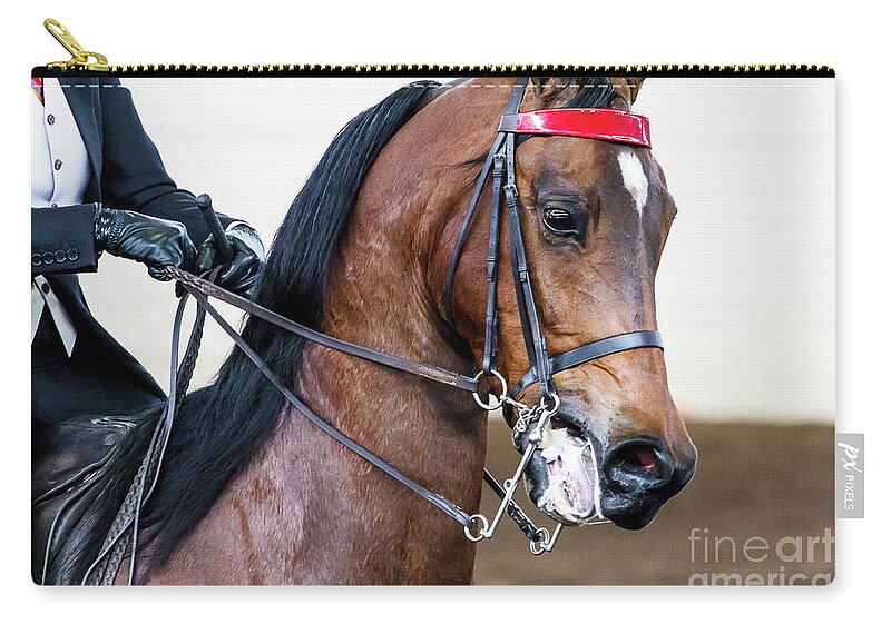 Horse Zip Pouch featuring the photograph Arabian Show Horse 5 #1 by Ben Graham