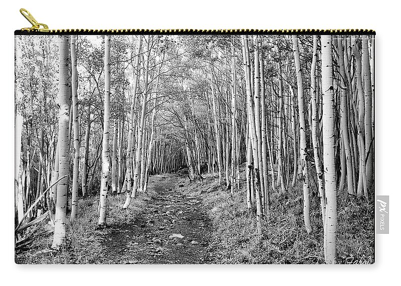 Aspen Carry-all Pouch featuring the photograph Aspen Forest by Farol Tomson