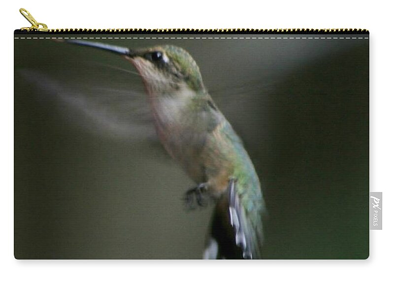 Bird Zip Pouch featuring the photograph At Dawn #1 by Barbara S Nickerson