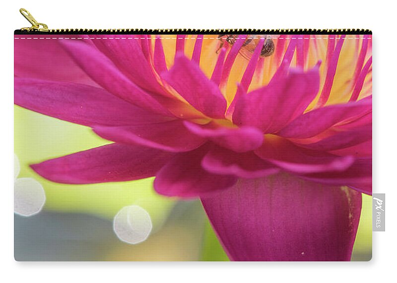 Lily Zip Pouch featuring the photograph Attraction. by Usha Peddamatham