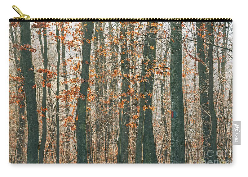 Landscape Zip Pouch featuring the photograph Autumn forest #1 by Jelena Jovanovic