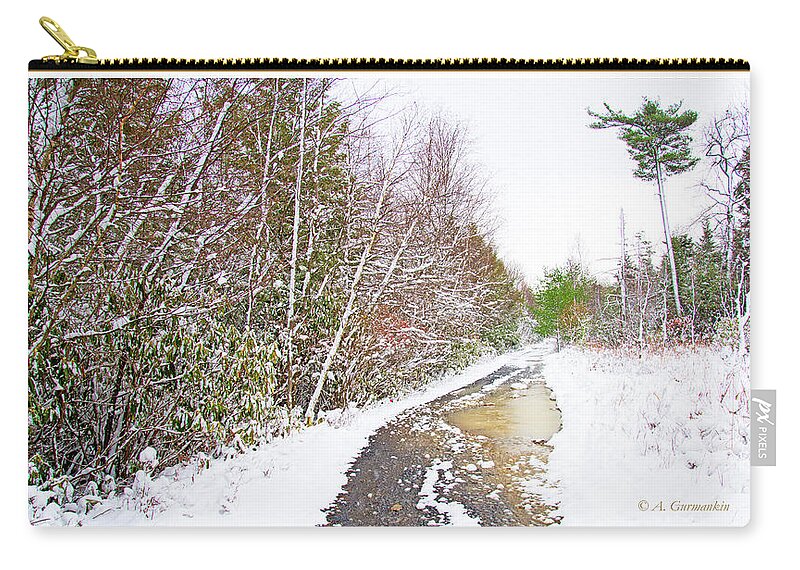 Back Road Zip Pouch featuring the photograph Back Road, Pocono Mountain Thicket in Winter #1 by A Macarthur Gurmankin