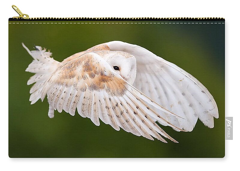 Barn Owl Zip Pouch featuring the photograph Barn owl #1 by Mariel Mcmeeking