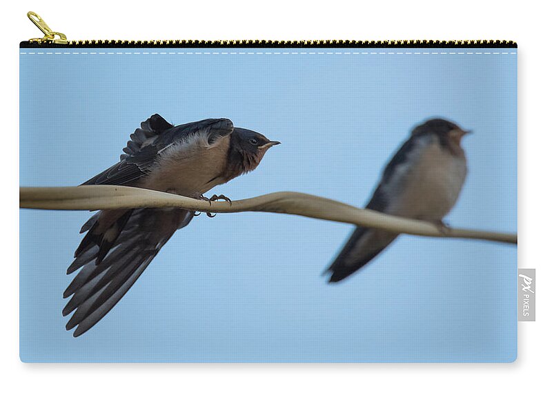 Barn Swallows Zip Pouch featuring the photograph Barn Swallows #1 by Holden The Moment
