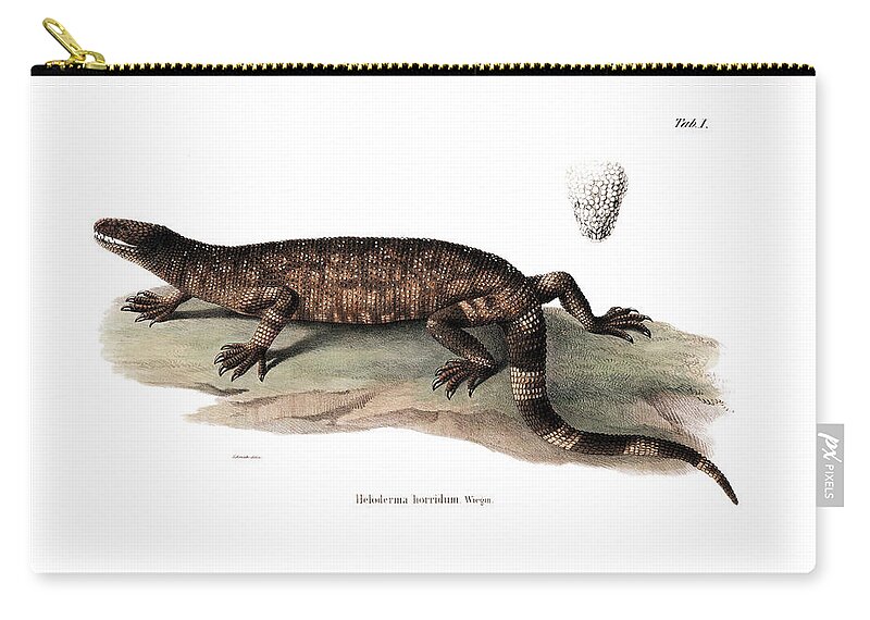 Reptiles Zip Pouch featuring the drawing Beaded lizard, Heloderma horridum #2 by Friedrich August Schmidt