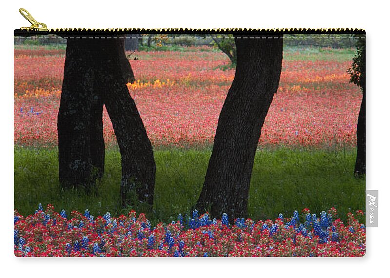 Beautiful Zip Pouch featuring the photograph Beautiful arrangement of bright red Paintbrush and Bluebonnets a #1 by Dan Herron