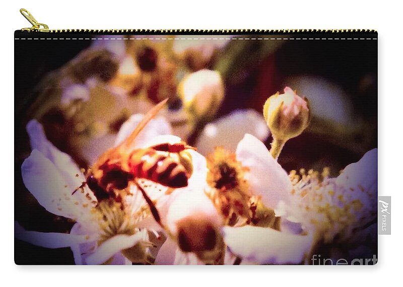 Nature Zip Pouch featuring the photograph Bee On Apple Blossoms #1 by Debra Lynch