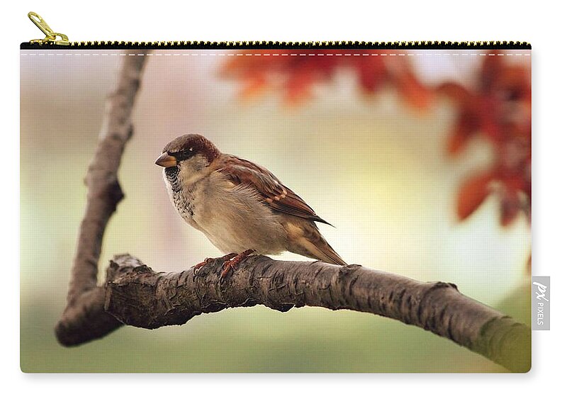 Bird Zip Pouch featuring the photograph Bird #1 by Jackie Russo
