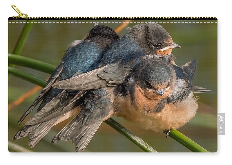 Birds Carry-all Pouch featuring the photograph Birds of a Feather by Derek Dean