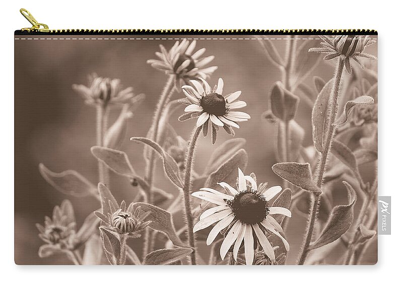 Black Eyed Susans Zip Pouch featuring the photograph Black-Eyed Susans #1 by Mel Hensley