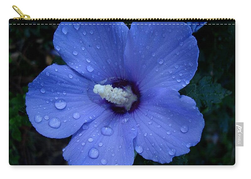Rose Of Sharon Zip Pouch featuring the photograph Blue Rose of Sharon II #1 by Michiale Schneider