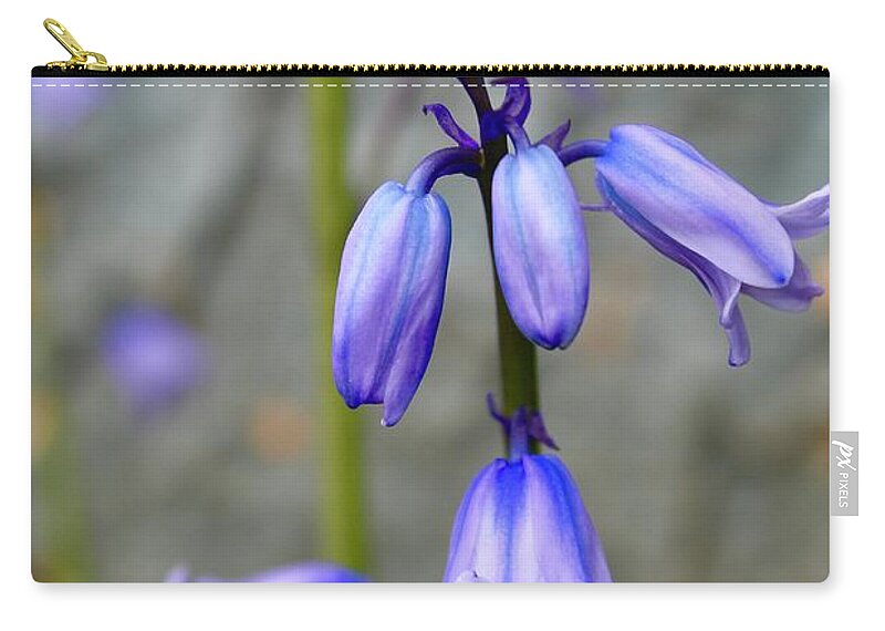 Photography Zip Pouch featuring the photograph Bluebell Beauty #1 by M E