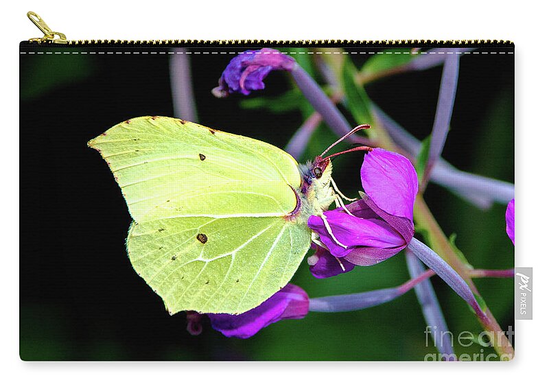 Animal Carry-all Pouch featuring the photograph Brimstone butterfly by Amanda Mohler
