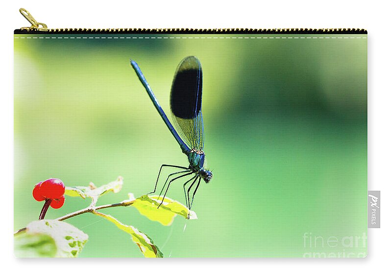 Countryside Carry-all Pouch featuring the photograph Broad-winged Damselfly, Dragonfly by Amanda Mohler