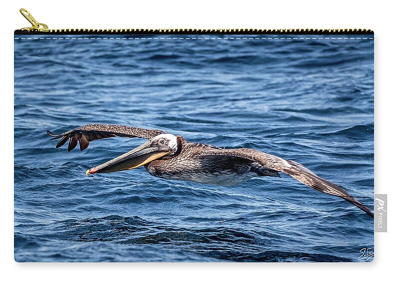 Brown Pelican Zip Pouch featuring the photograph Brown Pelican 4 #1 by Endre Balogh