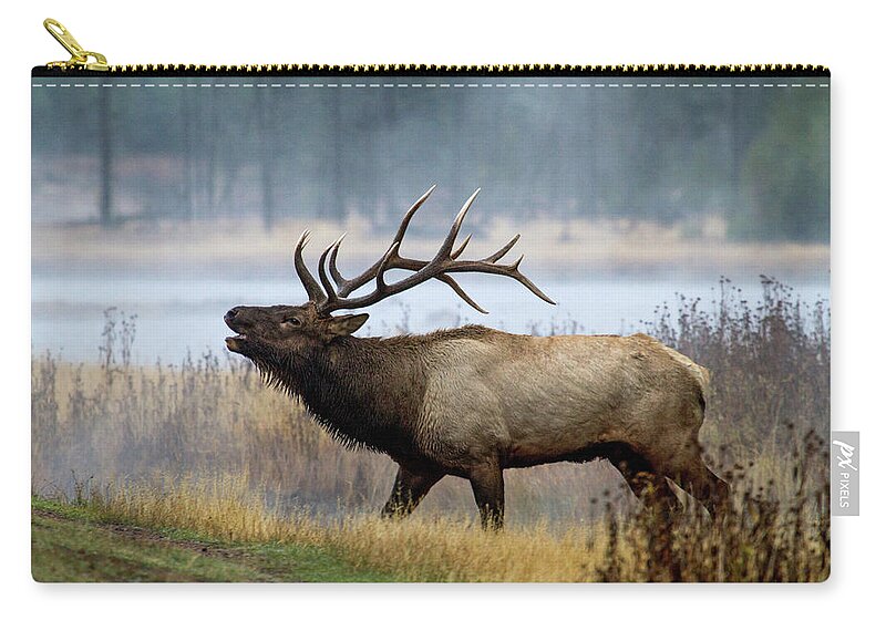Elk Carry-all Pouch featuring the photograph Bull Elk by Wesley Aston