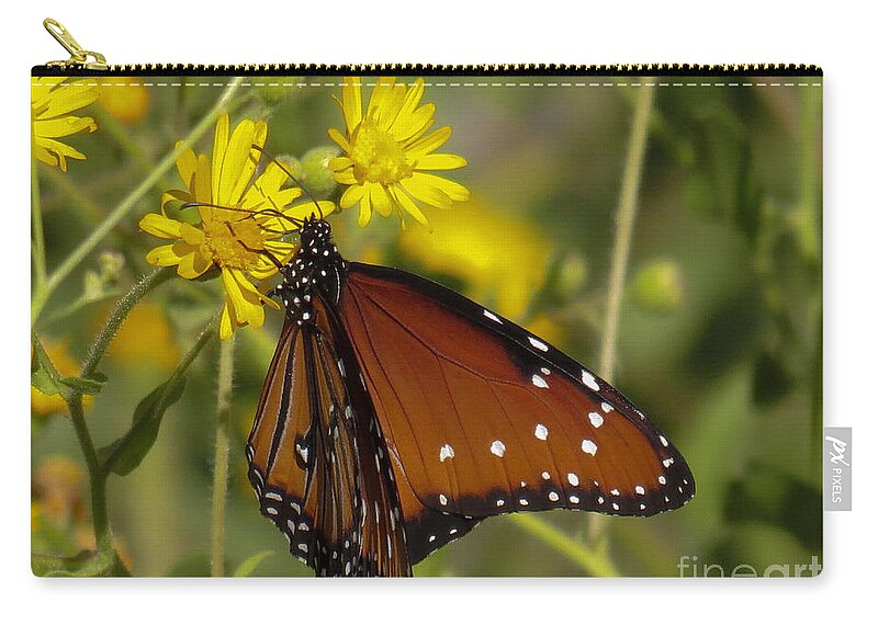 Butterfly Zip Pouch featuring the photograph Butterfly 3 by Christy Garavetto