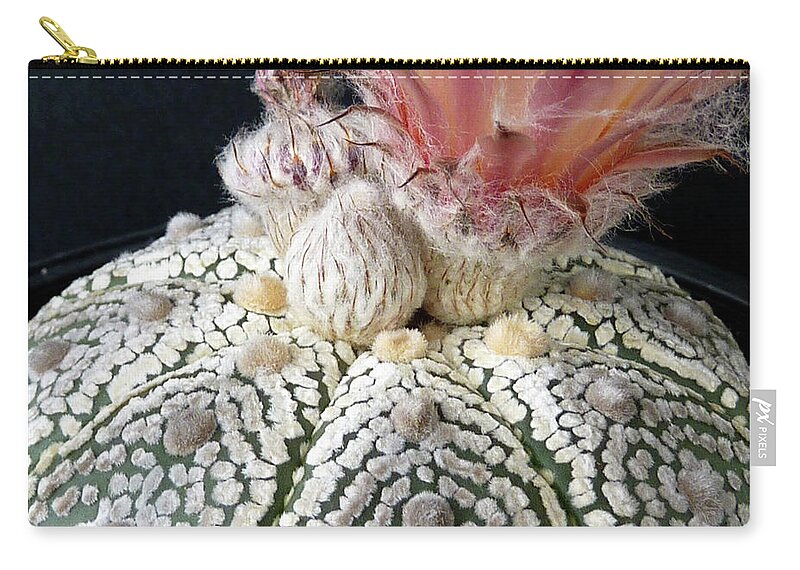 Cactus Zip Pouch featuring the photograph Cactus Flower 6 #1 by Selena Boron