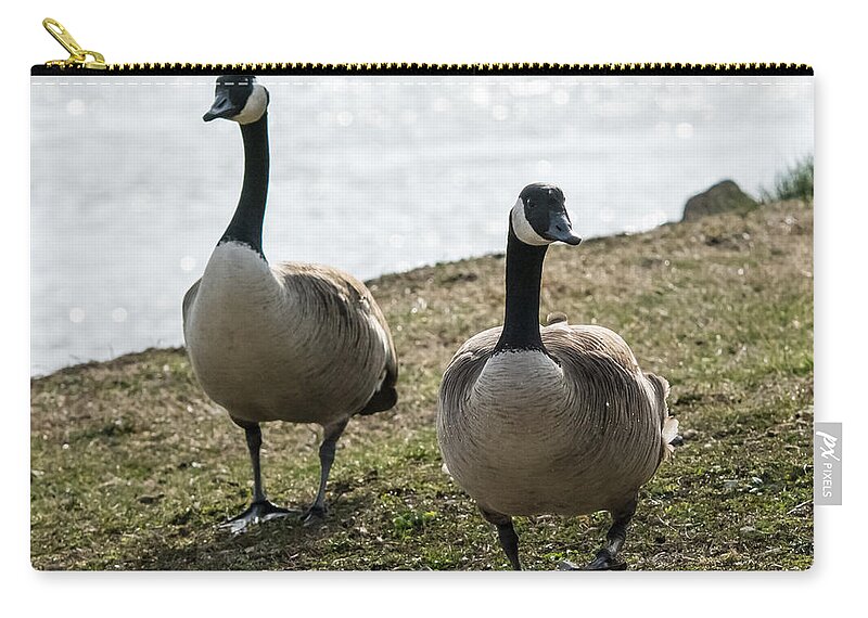 Jan Holden Zip Pouch featuring the photograph Canada Geese   by Holden The Moment
