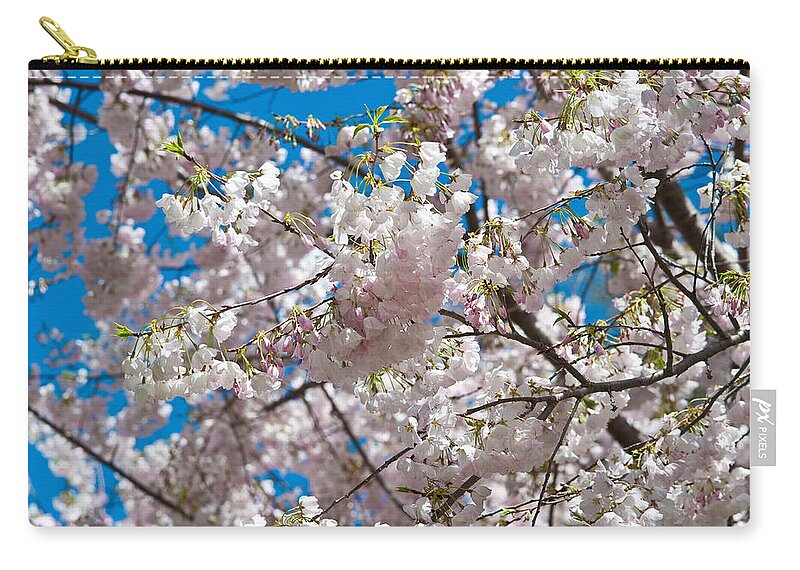 Cherry Blossom Zip Pouch featuring the photograph Cherry Blossom #1 by Sebastian Musial