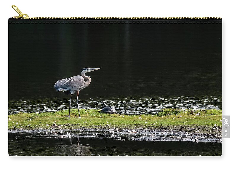Great Blue Heron Zip Pouch featuring the photograph Chesapeake Bay Great Blue Heron #1 by Patrick Wolf
